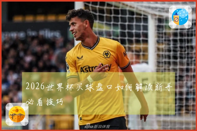 2026世界杯买球盘口如何解读新手必看技巧
