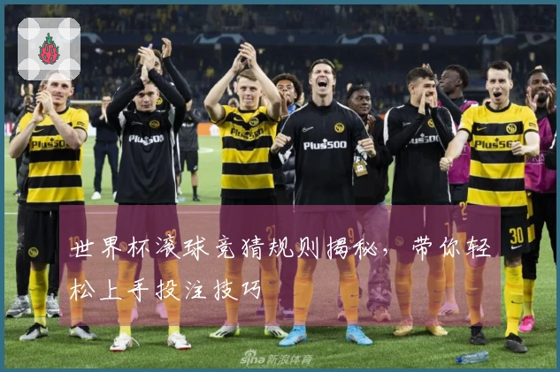 世界杯滚球竞猜规则揭秘，带你轻松上手投注技巧