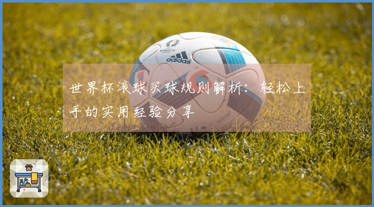 世界杯滚球买球规则解析：轻松上手的实用经验分享