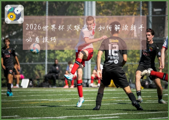 2026世界杯买球盘口如何解读新手必看技巧