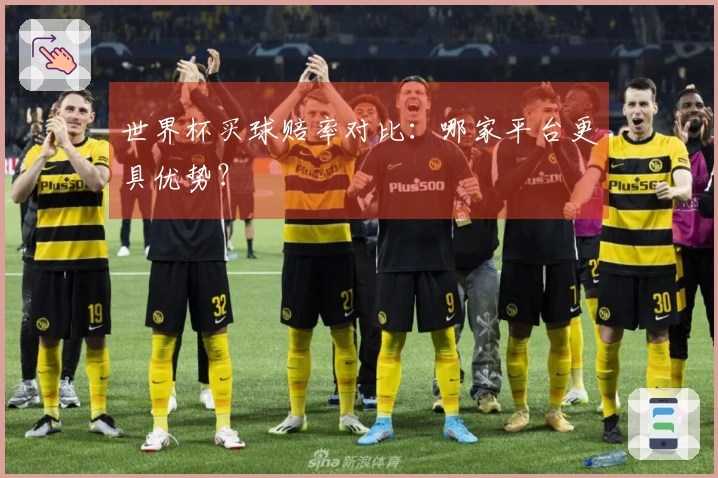 世界杯买球赔率对比：哪家平台更具优势？