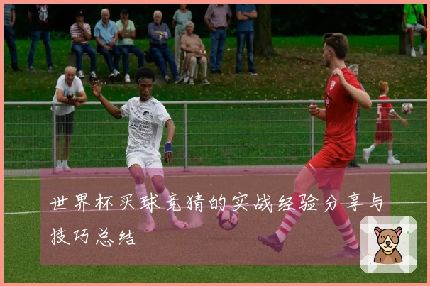 世界杯买球竞猜的实战经验分享与技巧总结