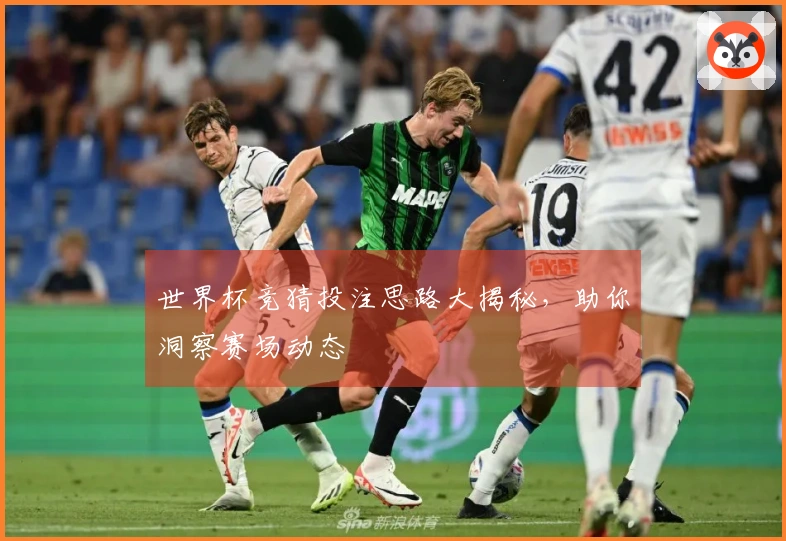 世界杯竞猜投注思路大揭秘，助你洞察赛场动态