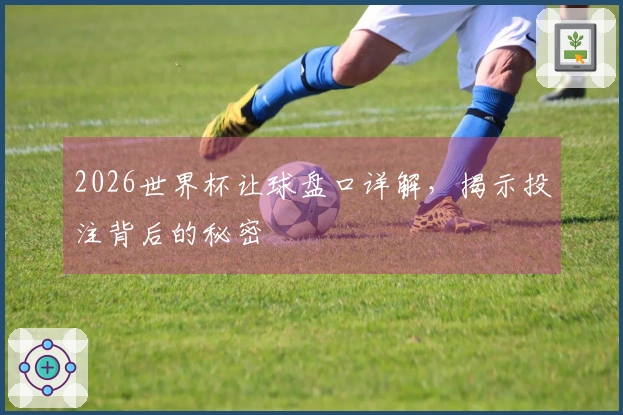 2026世界杯让球盘口详解，揭示投注背后的秘密