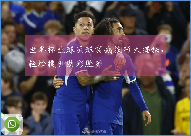 世界杯让球买球实战技巧大揭秘，轻松提升购彩胜率
