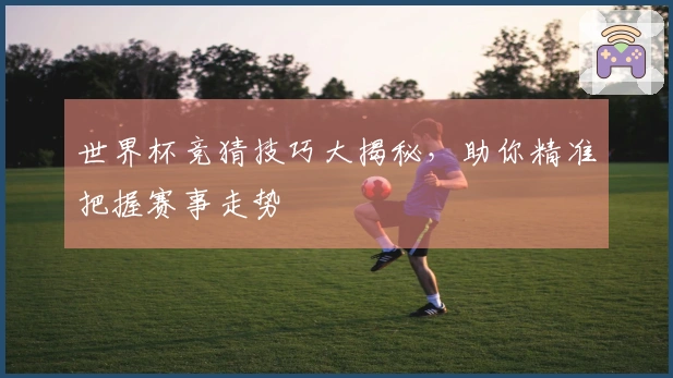 世界杯竞猜技巧大揭秘，助你精准把握赛事走势