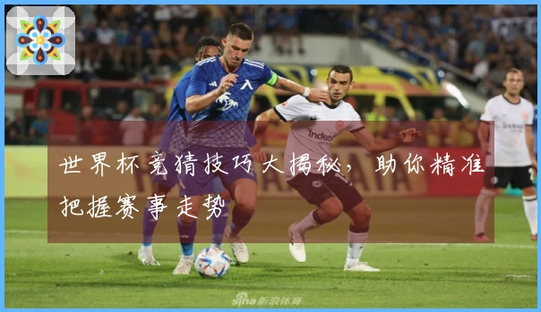 世界杯竞猜技巧大揭秘，助你精准把握赛事走势