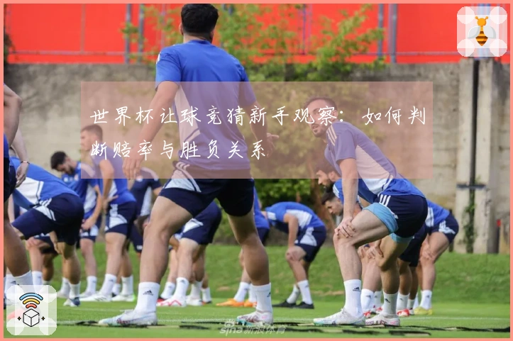 世界杯让球竞猜新手观察：如何判断赔率与胜负关系
