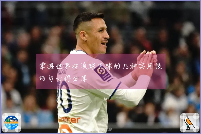 掌握世界杯滚球买球的几种实用技巧与心得分享