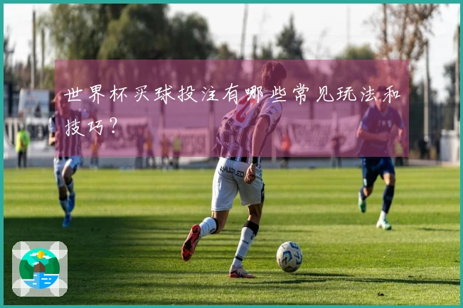 世界杯买球投注有哪些常见玩法和技巧？