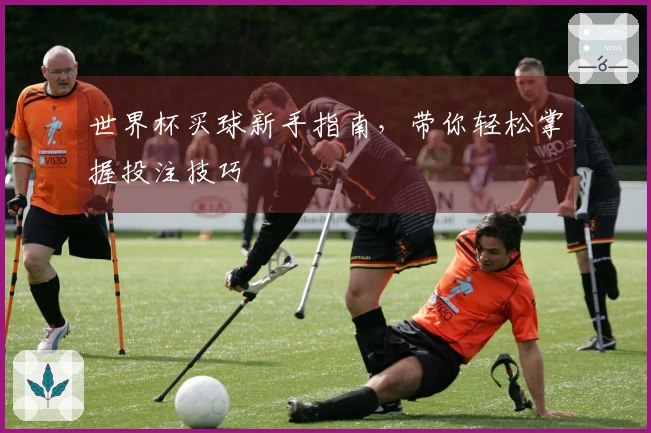 世界杯买球新手指南,带你轻松掌握投注技巧